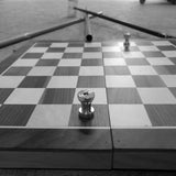 Alpha Strong Insert Bike Polo Mounting Device