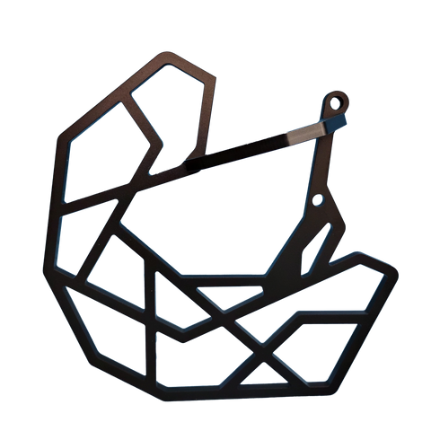 Scarab Disc Guard
